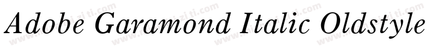 Adobe Garamond Italic Oldstyle Figu字体转换
